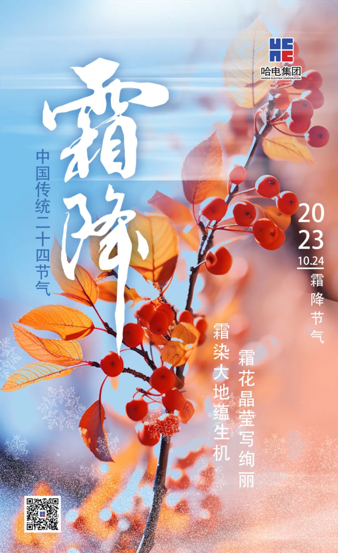 佰利乐·(中国区)有限公司官网